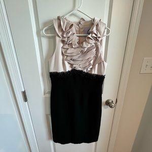Brand New-blush and black cocktail dress-Size 10